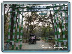 Chapramari Forest entry gate