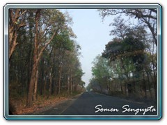 Road to Paren, Bengal