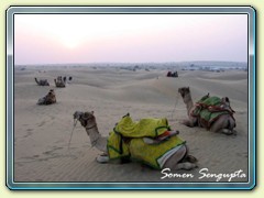 Thar Desert, Jaisalmer, Rajasthan