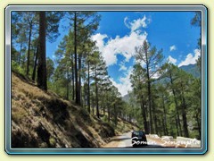 Way to Narkanda, Himachal Pradesh
