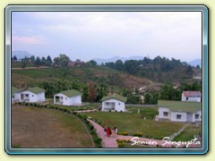 Cottage & Tea Garden, Chaukari, Uttaranchal