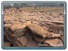 Ajatshatru's palace - Rajgir- Bihar