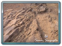 Ajatshatru's palace - Rajgir- Bihar