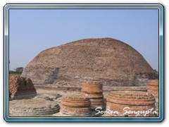 Vashali excavation site - Bihar