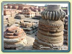 Ruins Of Vikramshila,Bihar