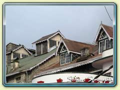 Tea Planter's Club,Darjeeling, Bengal