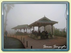 Foggy morning, Darjeeling