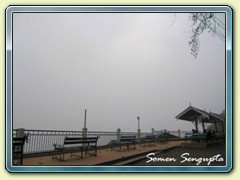 Foggy morning, Darjeeling