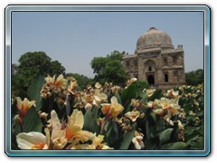 Sheesh Gumbad   - Lodhi Garden