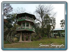 Watchtower at Chapramari Reserve Forest, Bengal