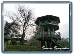 Watchtower at Chapramari Reserve Forest, Bengal