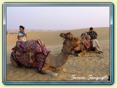 Thar Desert, Jaisalmer, Rajasthan