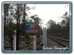 Elephant crossing area at Paren, Bengal