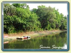 Bethuadahari Forest, Bengal
