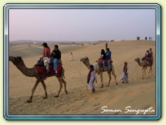 Thar Desert, Jaisalmer, Rajasthan