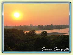 Gorumara Forest, Bengal