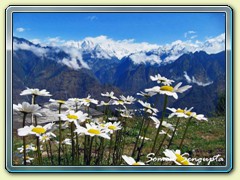 From Auli, Uttaranchal