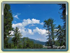 At Narkanda, Himachal Pradesh