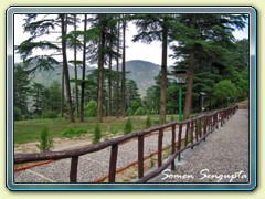 Sombre evening , Dhanaulti, Uttaranchal