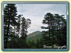 Dhanaulti, Uttaranchal