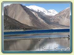 Pangong Lake, Ladakh