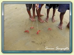 Carb Hunting, Mandarmani, Bengal