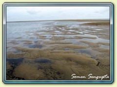 Low Tide, Mandarmani, Bengal