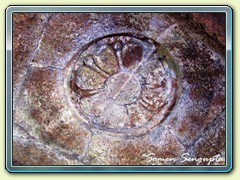 Kurumbera Fort, Midnapore, Bengal