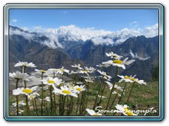 Nanda Devi Biosphere