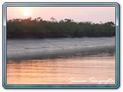 Sunderbans