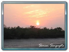 Sunderbans