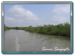 Sunderbans