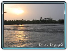 Sunderbans